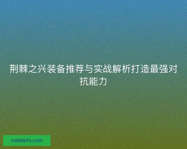荆棘之兴装备推荐与实战解析打造最强对抗能力