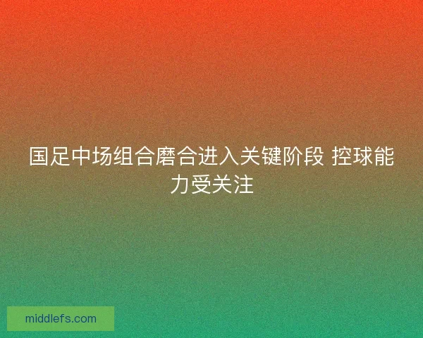 国足中场组合磨合进入关键阶段 控球能力受关注